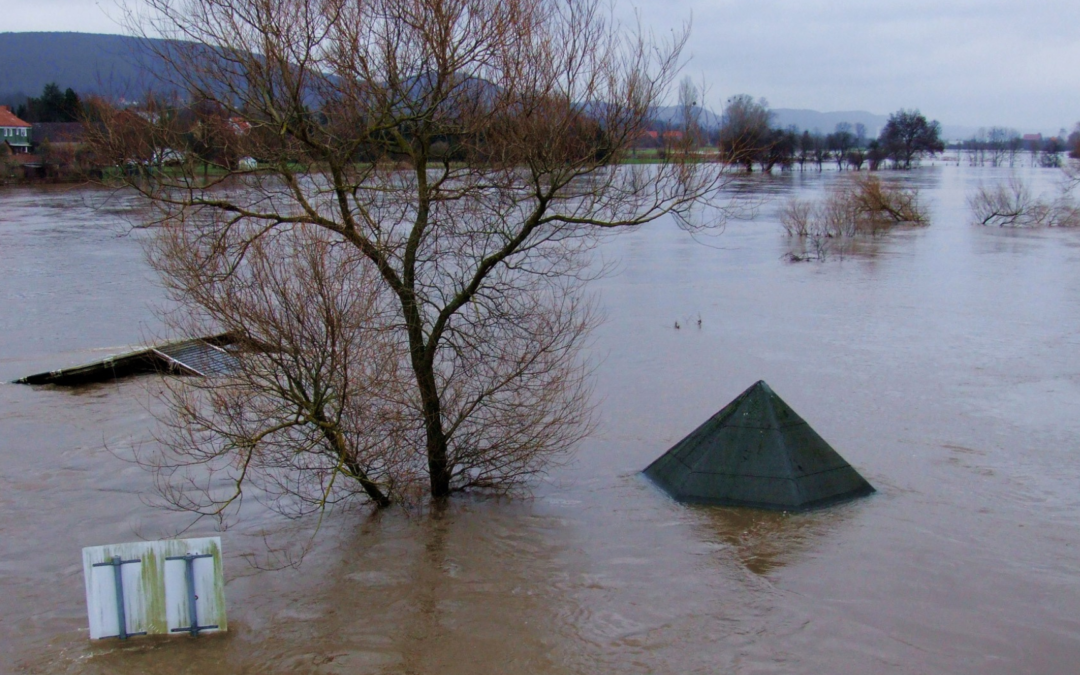 Orientações do TCE/SC frente a situações de emergência e calamidade pública