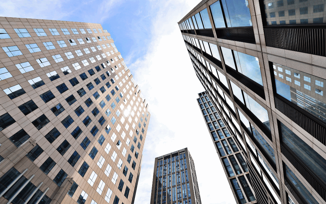 Estatais podem aplicar a Lei 14.133/2021? O Acórdão 1008/2025 do TCU e o necessário debate segurança jurídica e inovação regulatória