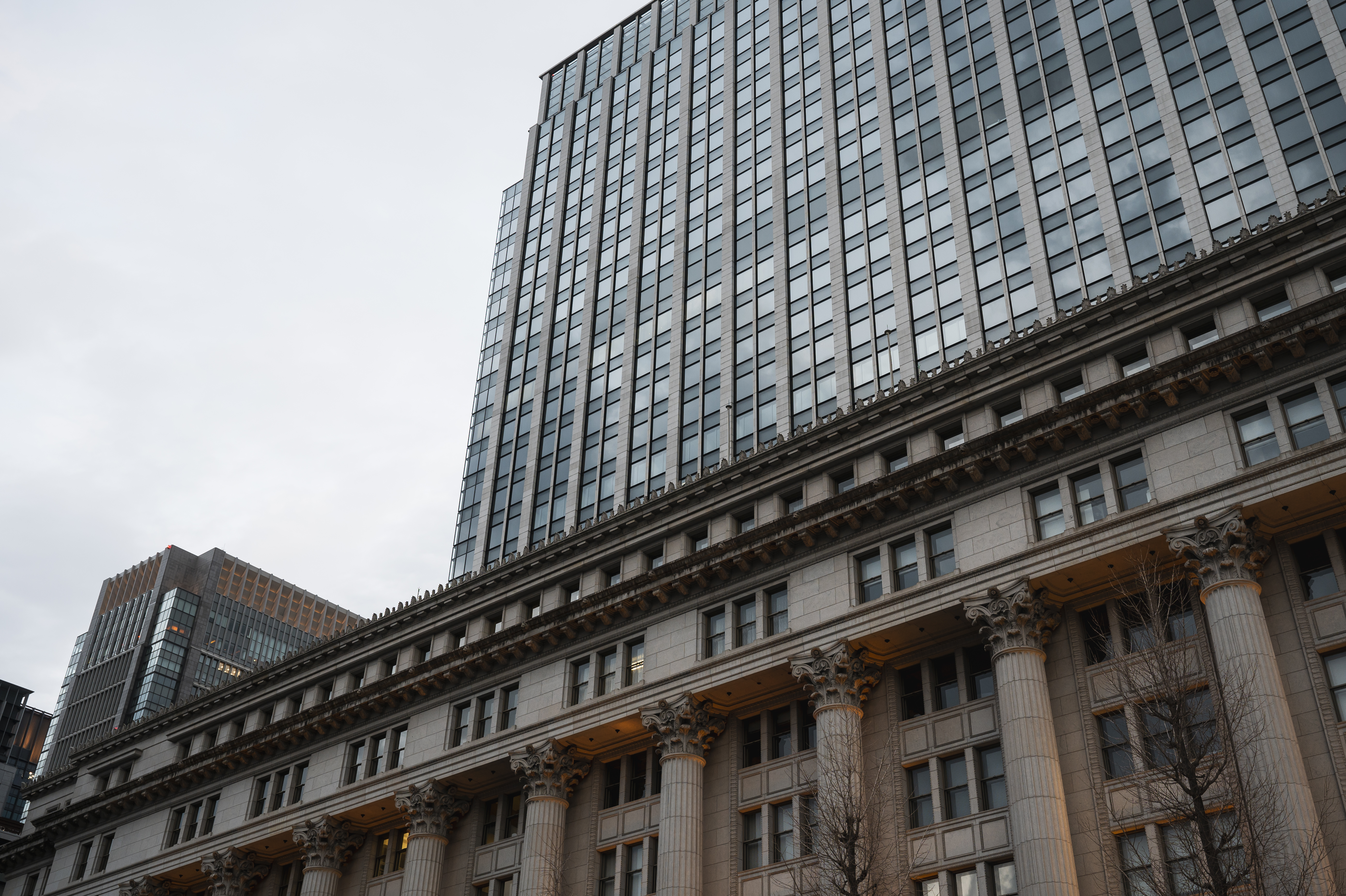 Contratação de plataforma privada de compras públicas de órgão ou ente estatal por dispensa de licitação