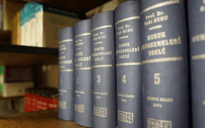 Parecer N. 00001/2025/CNPAD/CGU/AGU