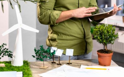 A Sustentabilidade Ambiental nas contratações de Tecnologia da Informação no Governo Federal: o que temos hoje?